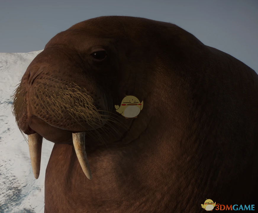 《动物园之星》新物种海象MOD