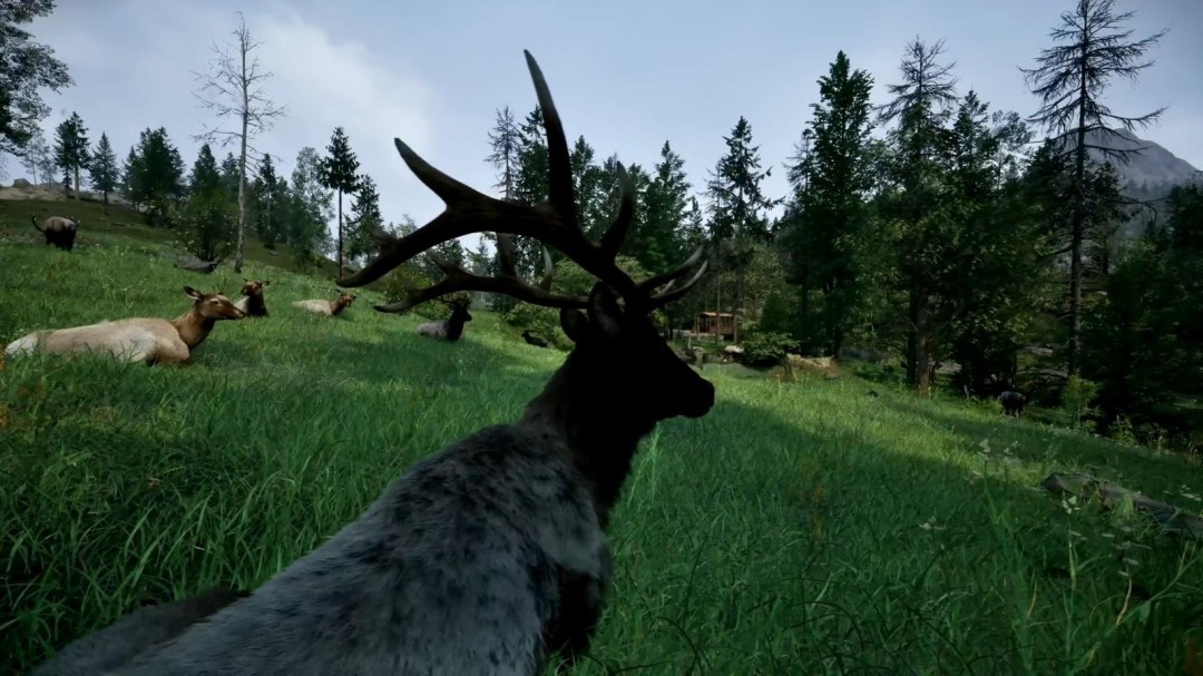 《护林员之路：国家公园模拟器》新预告公布