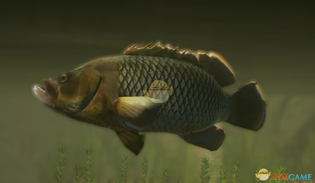 《动物园之星》新物种大口黑鲈MOD