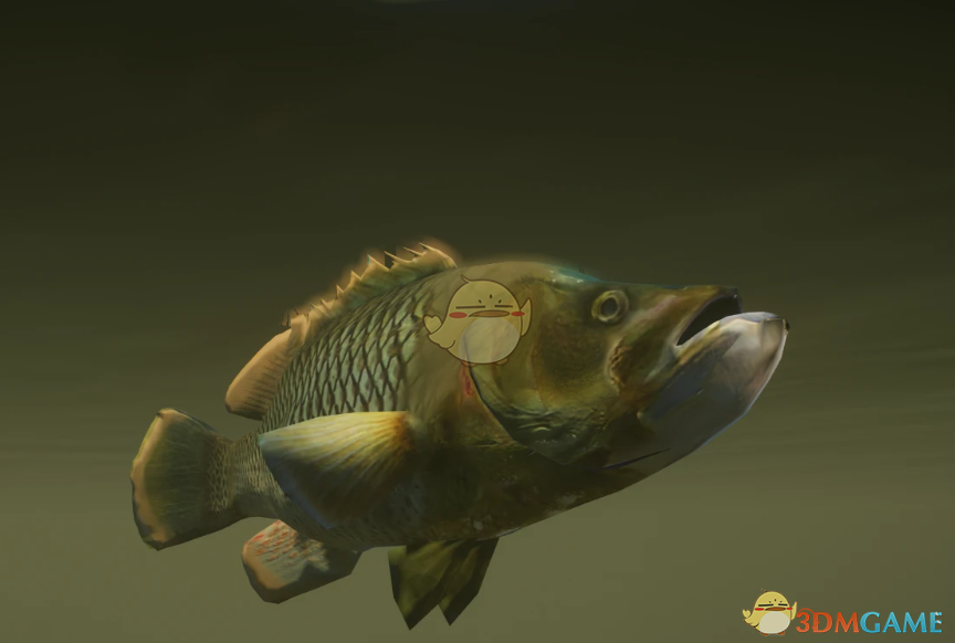 《动物园之星》新物种大口黑鲈MOD