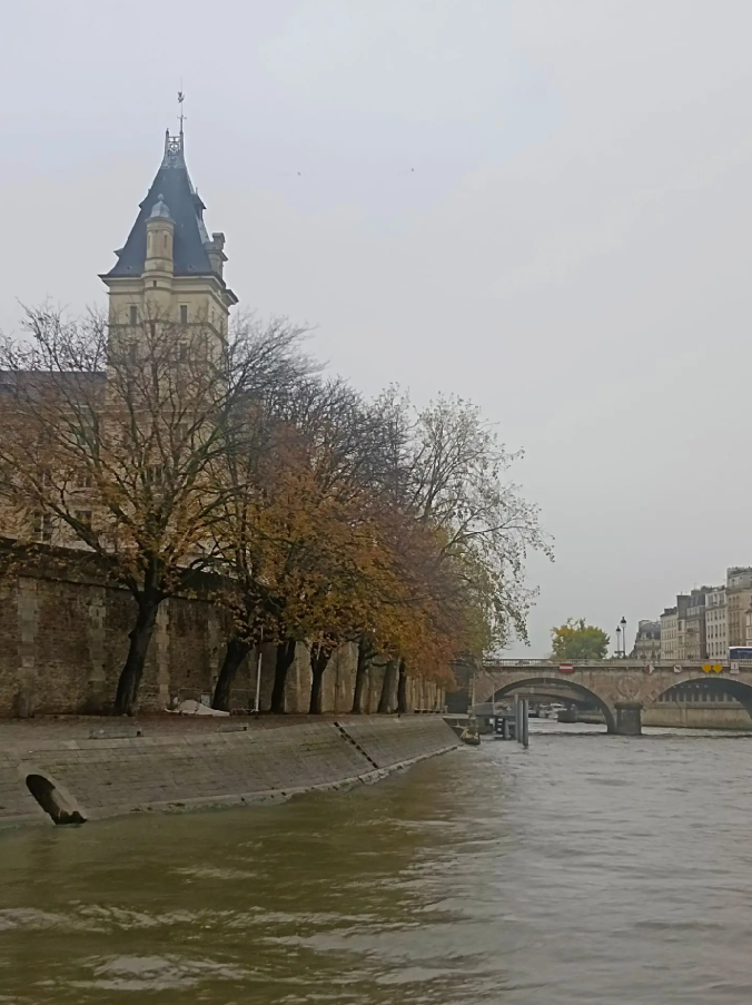 �ϱ������գ�Ϊɶ�ð������α���˴�ڴ�