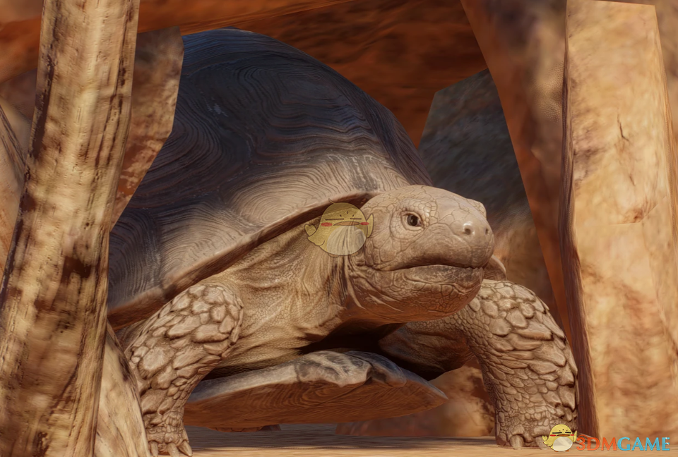 《动物园之星》新物种沙漠地鼠龟MOD