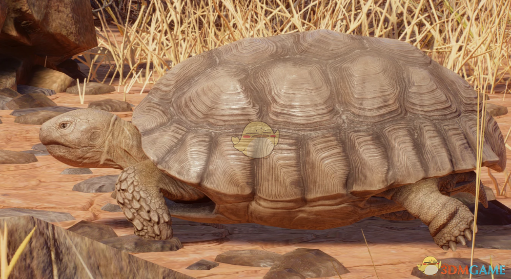 《动物园之星》新物种沙漠地鼠龟MOD