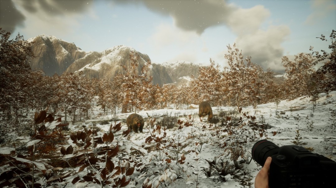 《摄影模拟器》游戏库