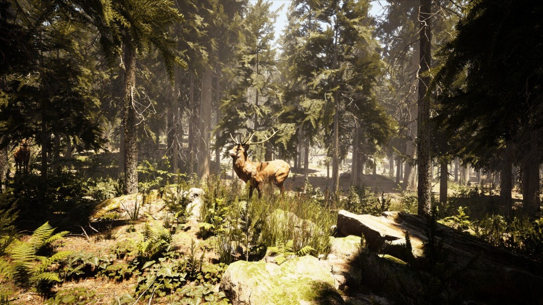 《摄影模拟器》游戏库