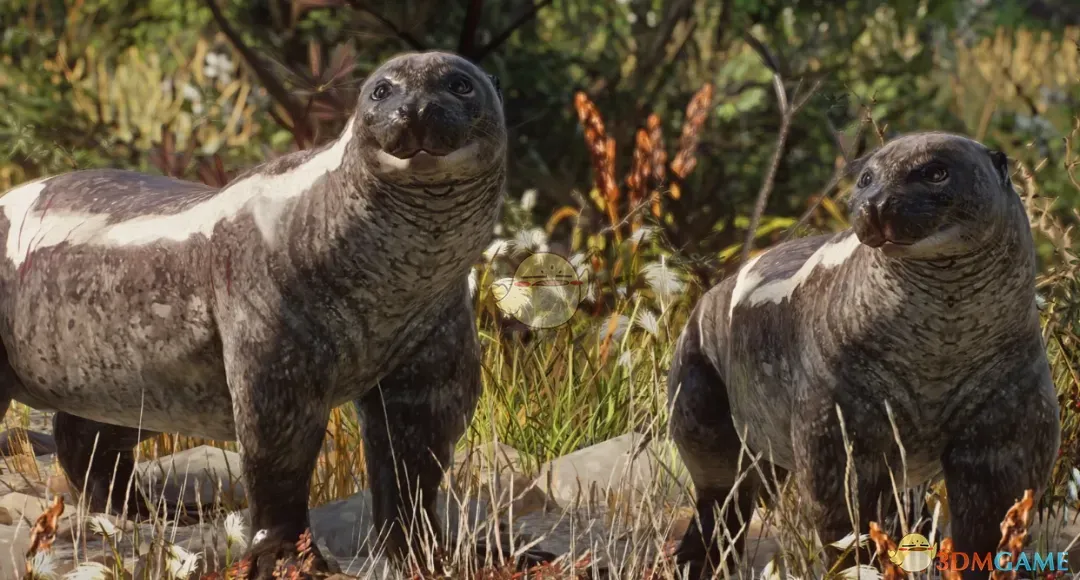 《动物园之星》新物种达氏海幼兽MOD