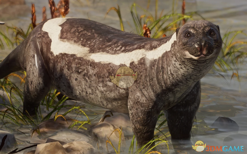 《动物园之星》新物种达氏海幼兽MOD