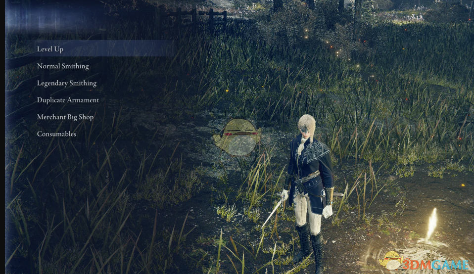 《艾尔登法环：黑夜君临》全能恩典MOD