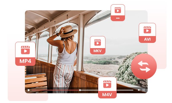 any video converter电脑版