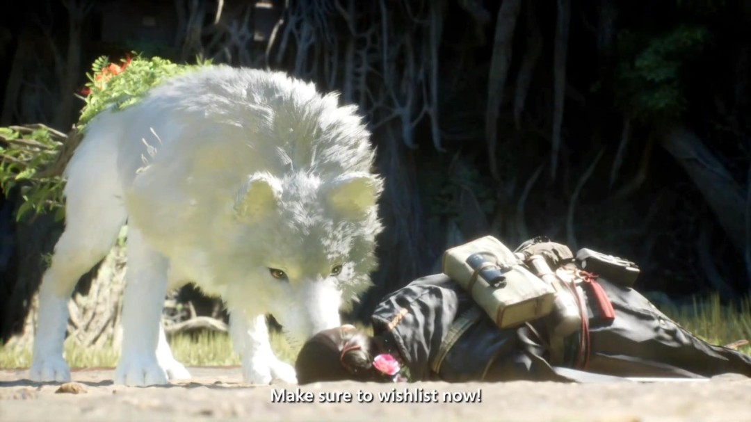 《轮回之兽》新预告和实机演示 今年夏季发售