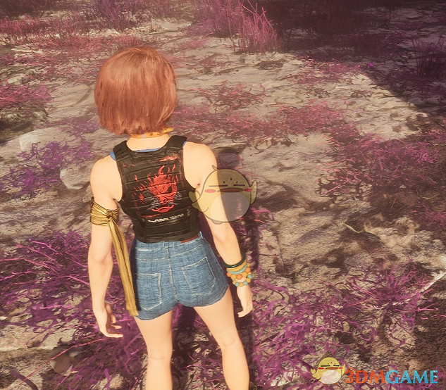 《光与影：33号远征队》玛埃尔的武士夹克套装MOD