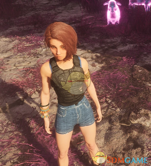 《光与影：33号远征队》玛埃尔的武士夹克套装MOD