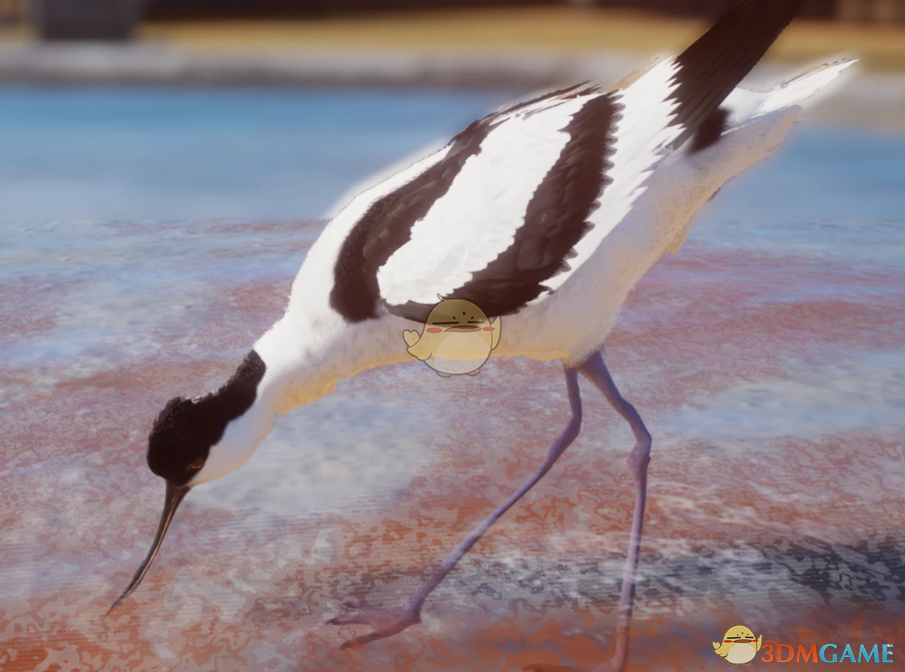《动物园之星》新物种反嘴鹬MOD