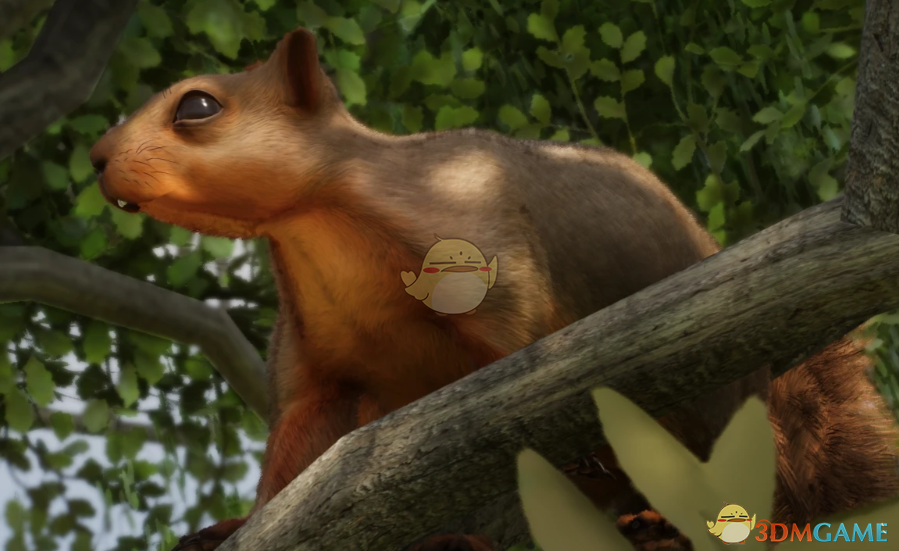 《动物园之星》新物种狐松鼠MOD