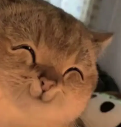 再度翻红的乌兰图雅，成了新的网络抽象圣体【365娱乐资讯网】