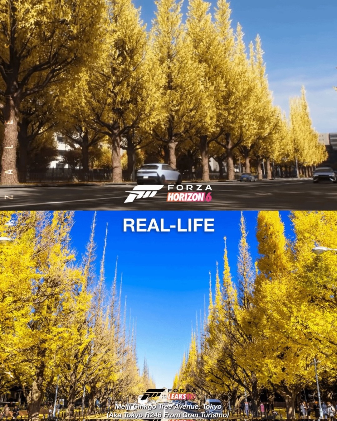 《极限竞速：地平线6》游戏画面与现实对比 真假难辨！