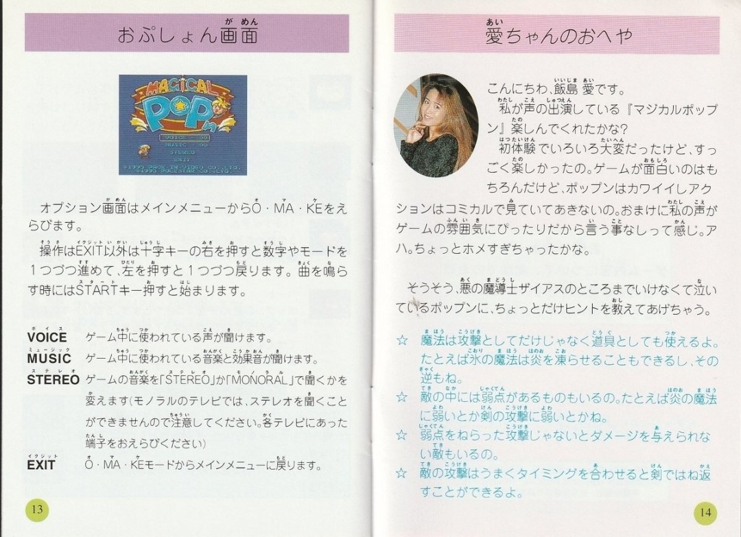 复古游戏说明书价格炒上天 仅因有饭岛爱照片与寄语