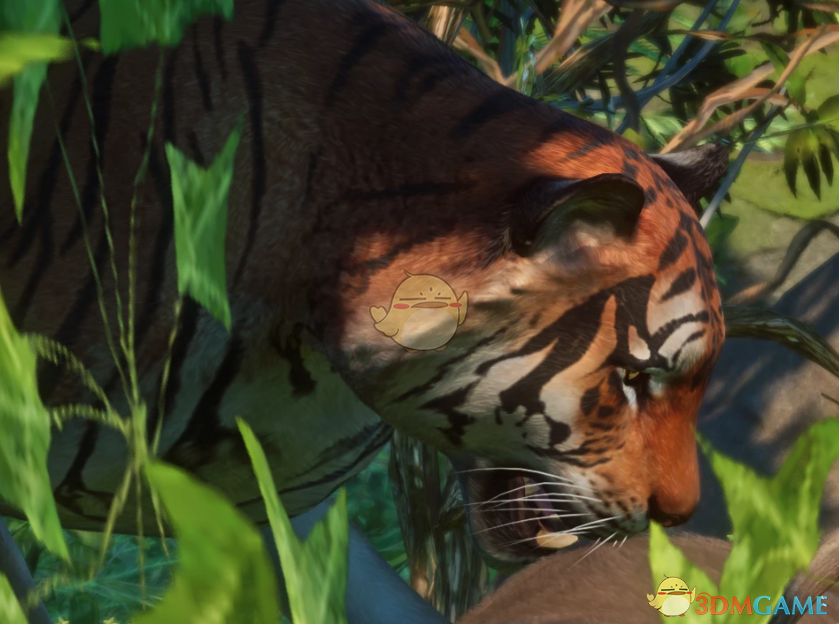 《动物园之星》新物种婆罗洲虎MOD