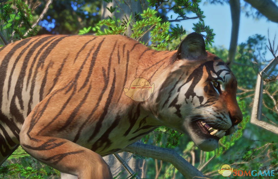 《动物园之星》新物种婆罗洲虎MOD