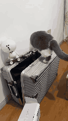 ��Ц���������ƴ��࣬���˺��������ȹ�