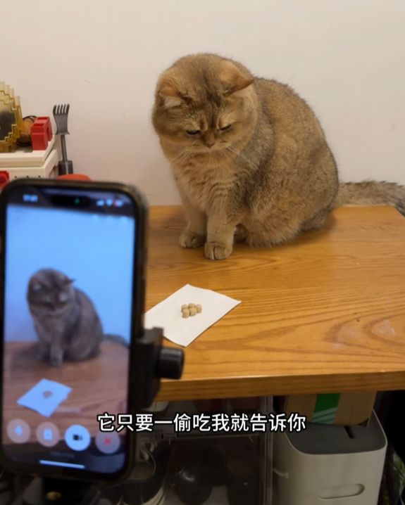 ���������������º��Ҳ�֪��ʲô���˹�����