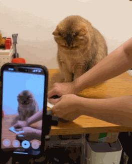 ���������������º��Ҳ�֪��ʲô���˹�����