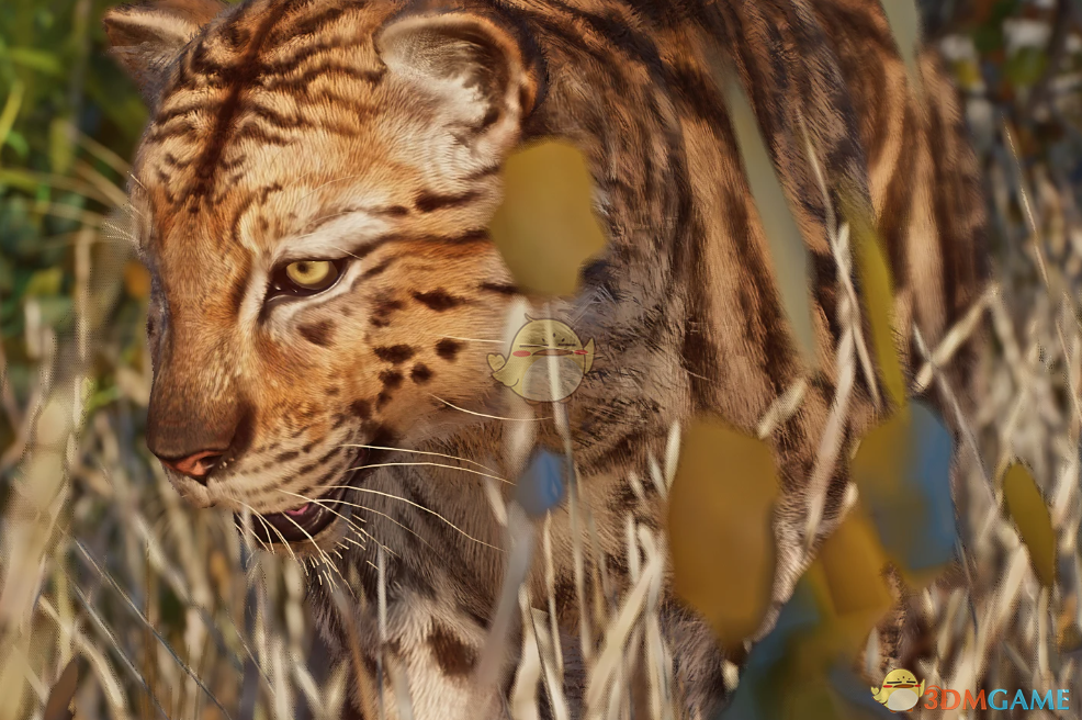 《动物园之星》新物种凶猛钻石猫MOD