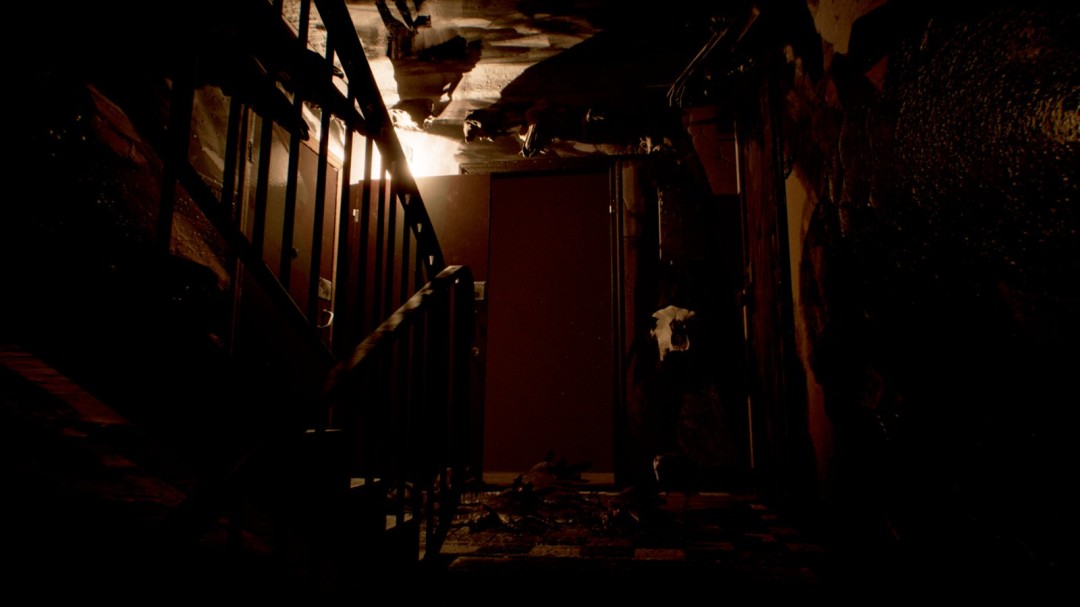 《New Face On The Block》官方版