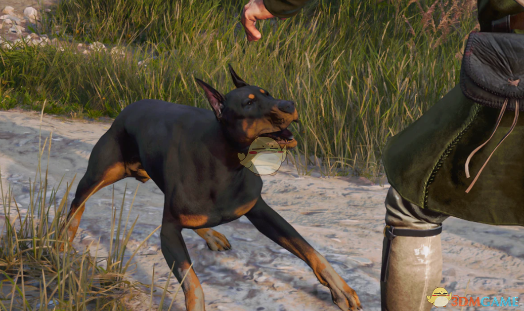 《天国：拯救2》杜宾犬mutt MOD