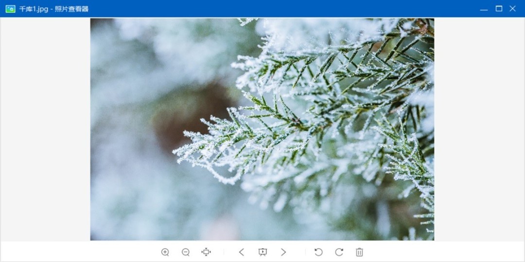 照片查看器电脑版