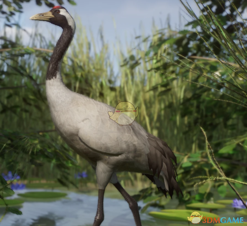 《动物园之星》新物种灰鹤MOD