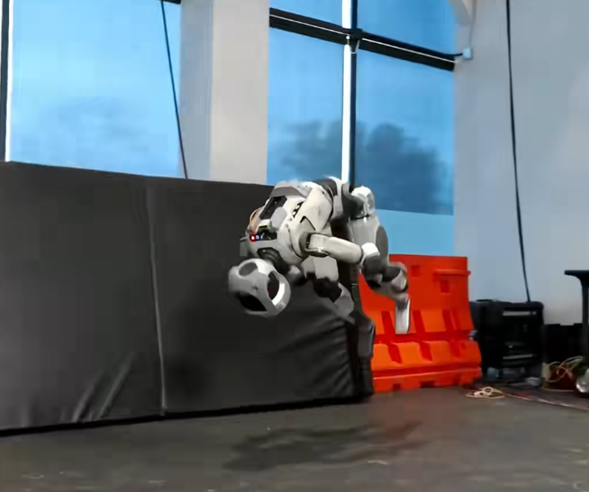 ��ʿ�ٶ������λ����˽������� Atlas��ѧ�������շ�