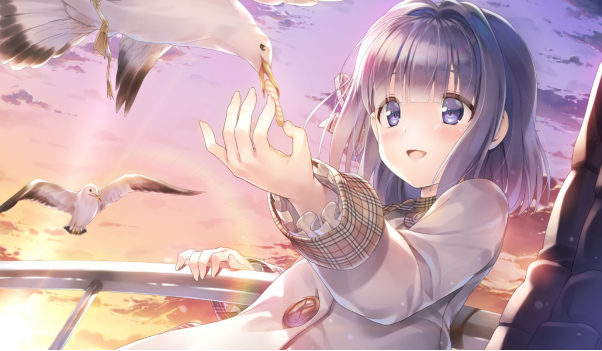 ��MARMALADE�����ġ�Study �� Steady���ٷ����İ�Steam�̵�ҳ�����ѿ��ţ�