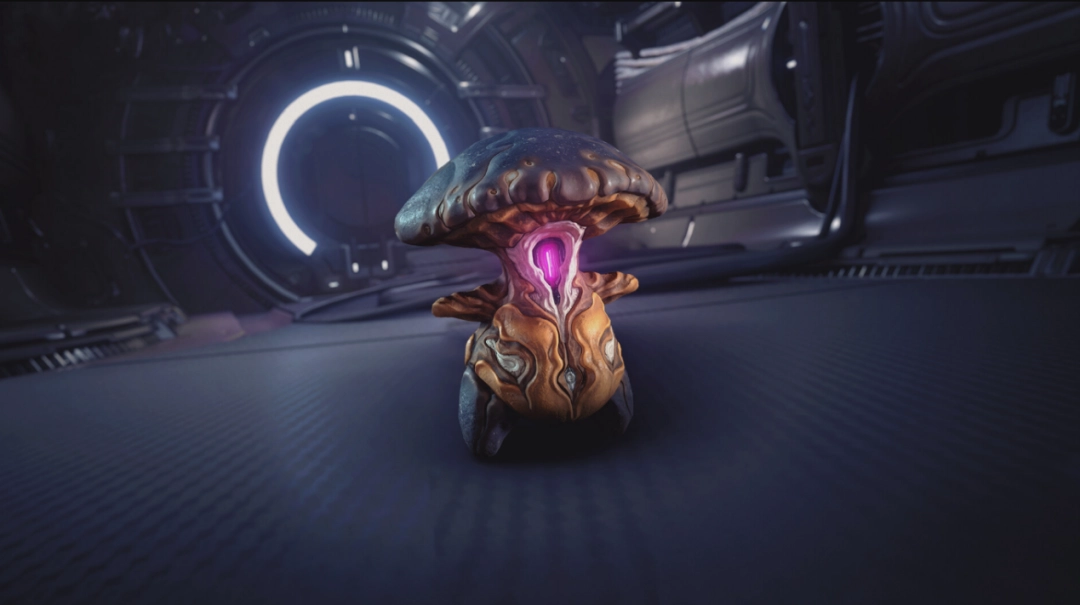 ��Warframe�������ܼࡰ���衱Rebeccaר�ã������ɣ���ŵսʿ