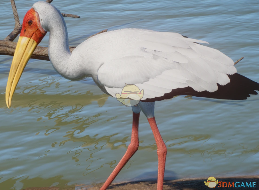 《动物园之星》新物种黄嘴鹮鹳MOD