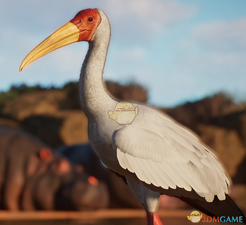 《动物园之星》新物种黄嘴鹮鹳MOD