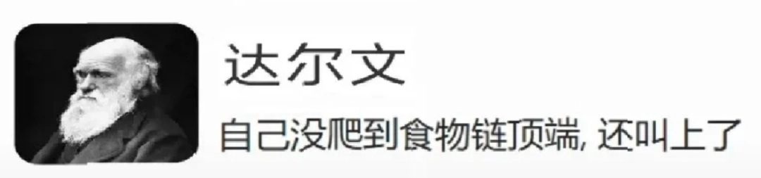 �ܶ��˵�ͯ����Ӱ����Ϊһֻ���ӱ���˳���Ӣ��