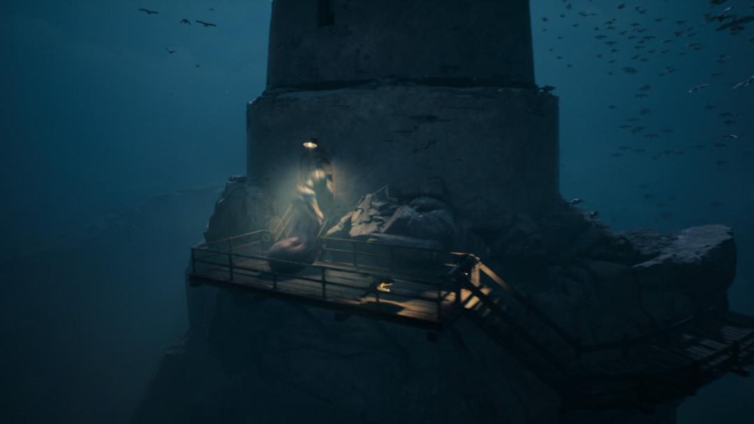 ���������ܡ����⣺���ﱾ��