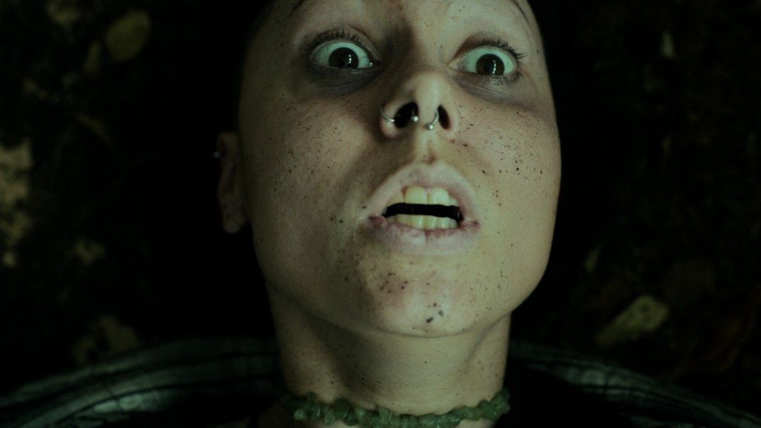 《幽林深处》游戏库