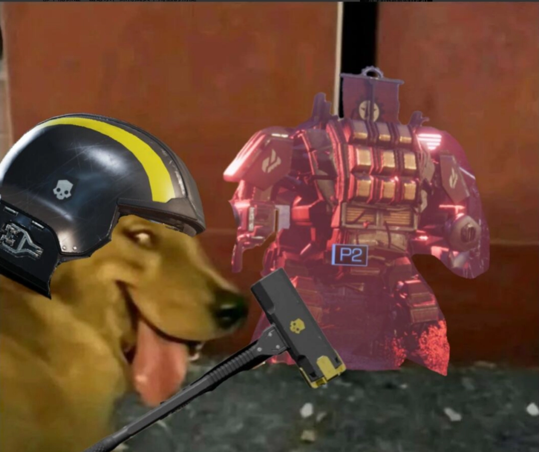 ����������������Ǳ������������˹̹���ִ���Υ������