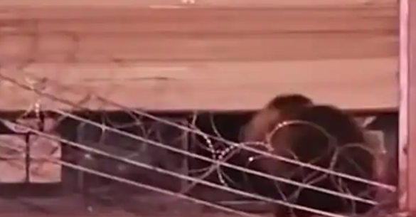 ˢ��Ƶˢ�����걻��ֻ�������Ŵ��룡��������