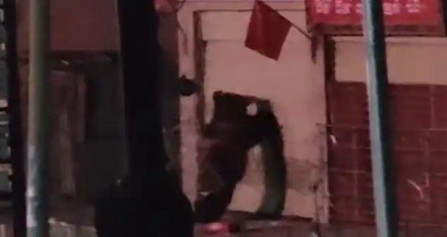 ˢ��Ƶˢ�����걻��ֻ�������Ŵ��룡��������