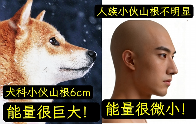 ��������Ƶġ�ɽ����ѧ���ѵ���ڴ������µĸ߶�