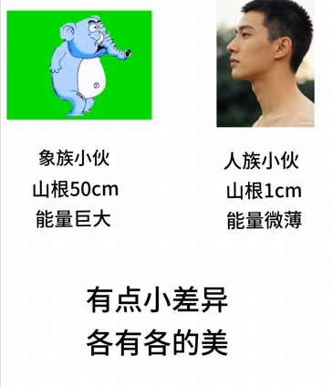 ��������Ƶġ�ɽ����ѧ���ѵ���ڴ������µĸ߶�