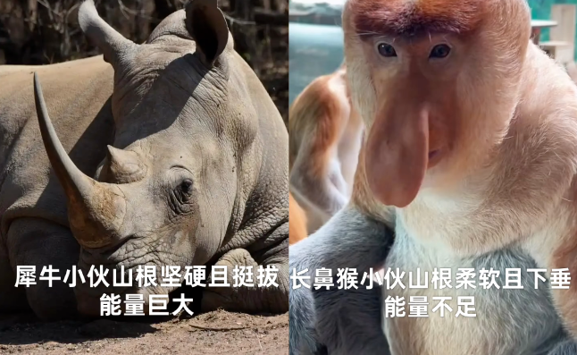 ��������Ƶġ�ɽ����ѧ���ѵ���ڴ������µĸ߶�