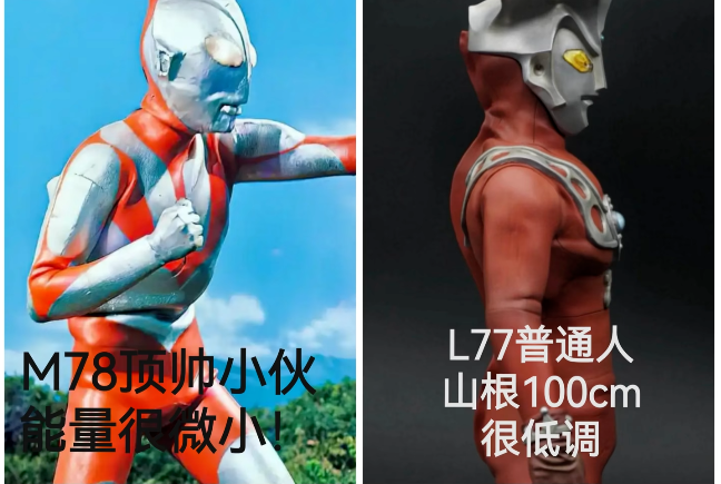 ��������Ƶġ�ɽ����ѧ���ѵ���ڴ������µĸ߶�