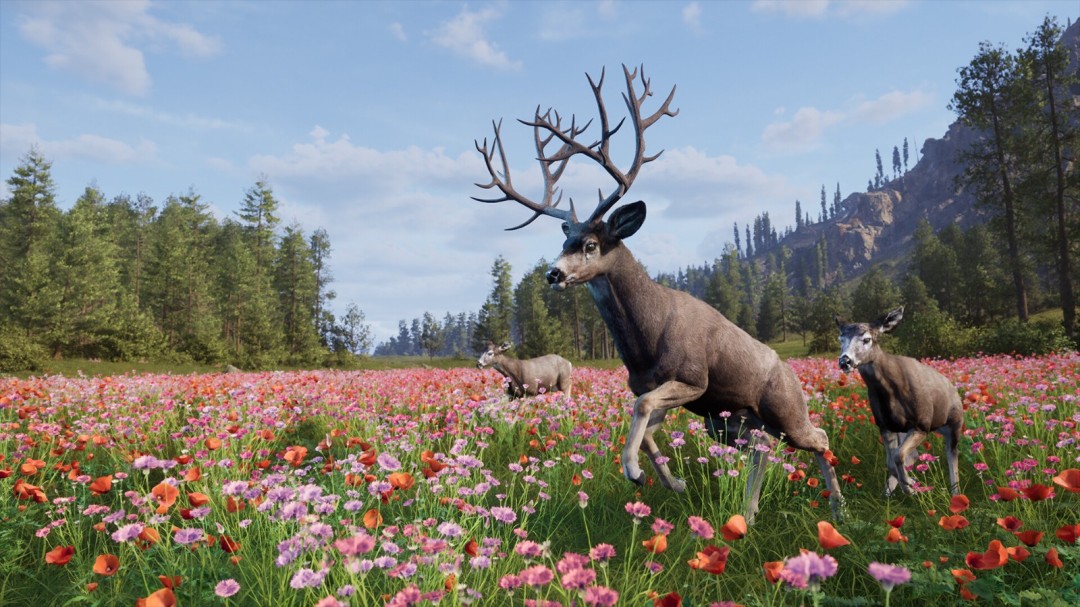 《Way of the Hunter 2》demo