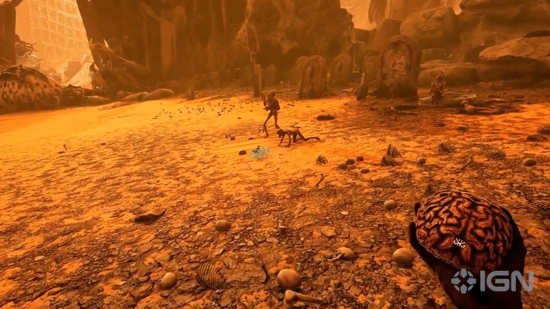 ��һ�˳������ֲ���Ϸ������֢: ������ʶ������