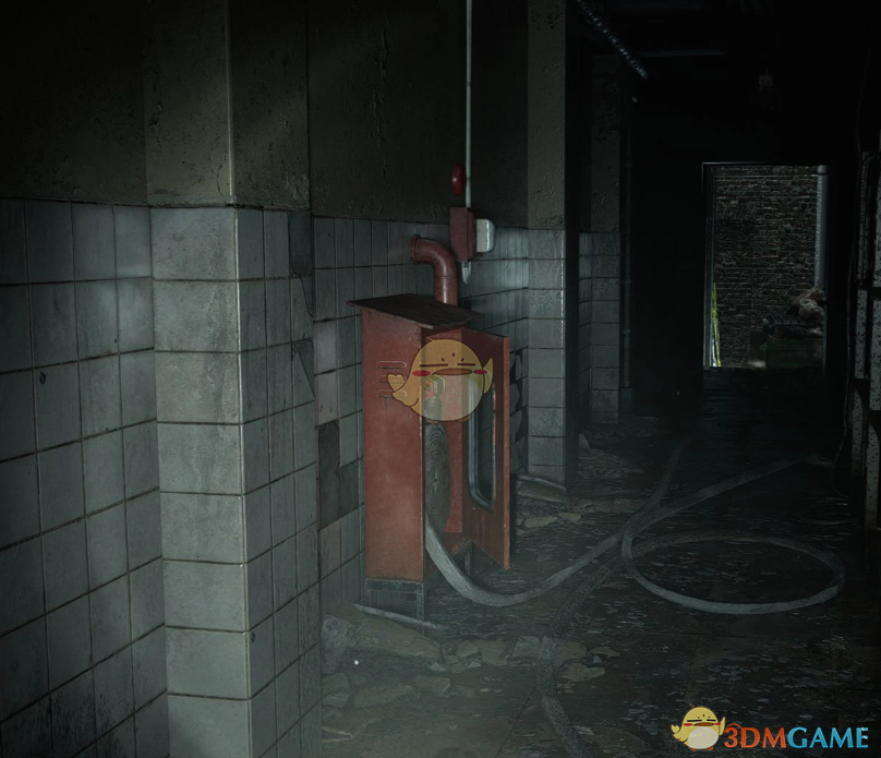 《生化危机9：安魂曲》提升锐度和对比度MOD