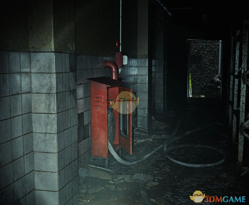 《生化危机9：安魂曲》提升锐度和对比度MOD